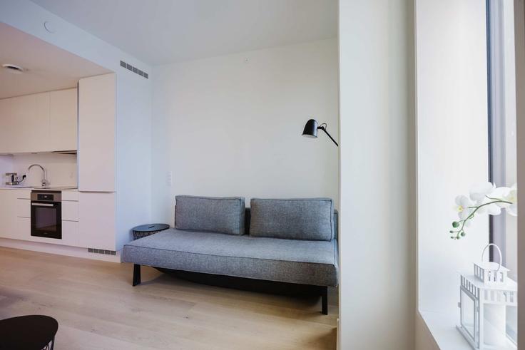 Sala de estar elegantemente projetada com móveis modernos em um apartamento no Building Flaskehalsen - nomad-properties - 1696590 em Copenhagen, Copenhagen