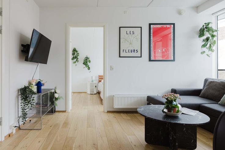 Elegant gestaltetes Wohnzimmer mit moderner Einrichtung in einer Wohnung im Building Richard Mortensens Vej - nomad-properties - 1696545 in Copenhagen, Copenhagen Elegant gestaltetes Wohnzimmer mit moderner Einrichtung in einer Wohnung im Building Richard Mortensens Vej - nomad-properties - 1696545 in Copenhagen, Copenhagen