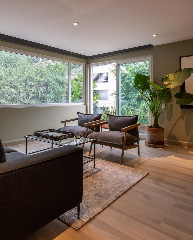 Elegant gestaltetes Wohnzimmer mit moderner Einrichtung in einer Wohnung im Building Calle Río Elba - oasis - 1061373 - MEX in Mexico City, Mexico City Elegant gestaltetes Wohnzimmer mit moderner Einrichtung in einer Wohnung im Building Calle Río Elba - oasis - 1061373 - MEX in Mexico City, Mexico City