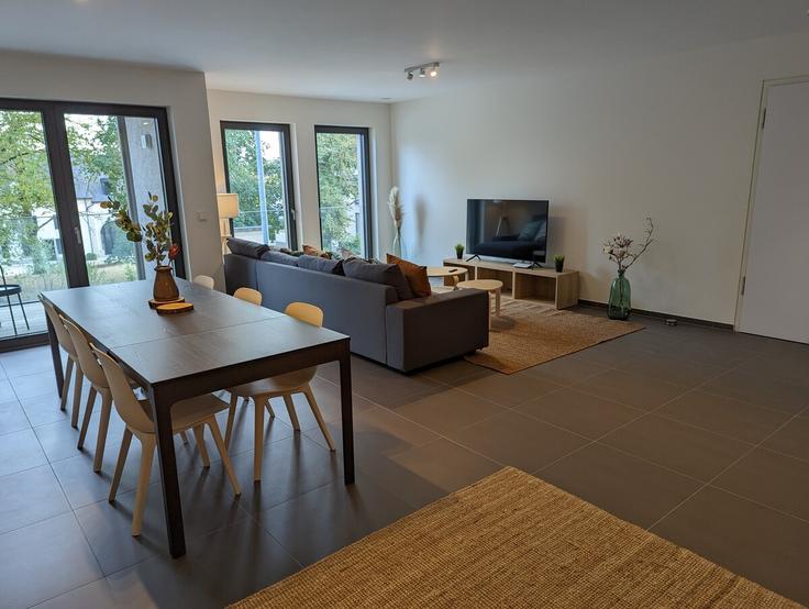 Elegante sala de estar con mobiliario moderno en un apartamento en Building N5 - omlu-sarl - 1495719 en Luxembourg, Luxembourg