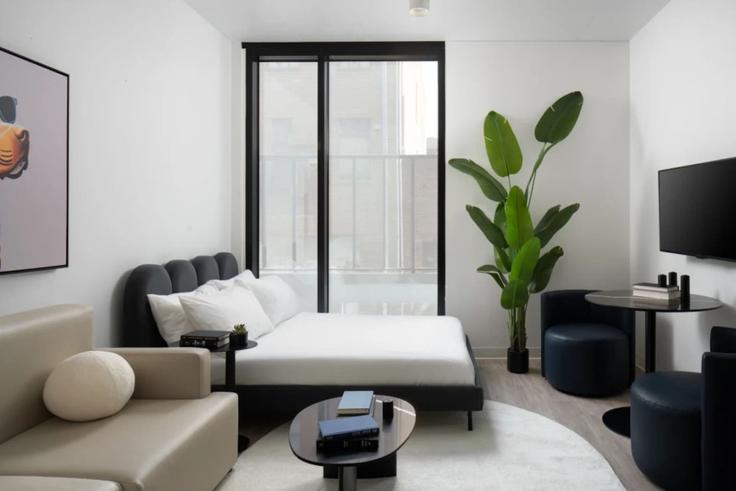 North 17th Streetにあるのスタジオ・家具付きアパート（1313914P、Tampa、Tampa）写真 1枚