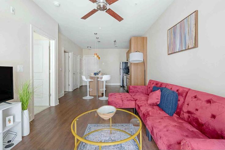 Salle de séjour élégante avec mobilier moderne dans un appartement à Building West End Avenue - premier-hosting-nashville - 1313868 - BNA à Nashville, Nashville Salle de séjour élégante avec mobilier moderne dans un appartement à Building West End Avenue - premier-hosting-nashville - 1313868 - BNA à Nashville, Nashville