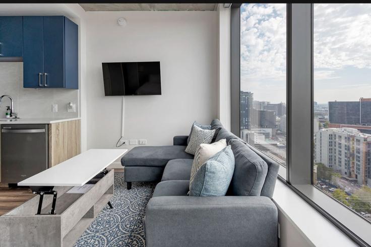 Building West End Avenue - premier-hosting-nashville - 1313872 - BNA adresindeki bir dairede modern mobilyalarla zarif bir şekilde tasarlanmış oturma odası Nashville, Nashville
