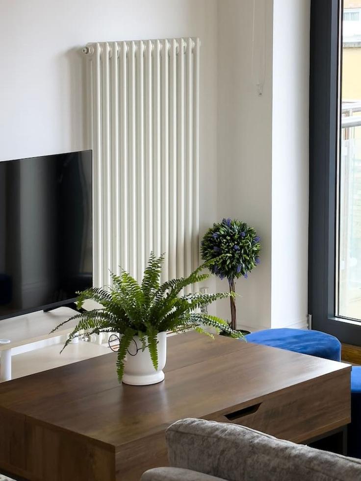 Salle de séjour élégante avec mobilier moderne dans un appartement à Building Hoxton Street - reddy-properties-limited - 1380884 à London Borough of Hackney, London