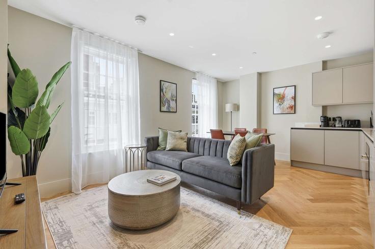 Sala de estar elegantemente projetada com móveis modernos em um apartamento no Building Cheyne Walk - redwood-living - 1578831 em Royal Borough of Kensington and Chelsea, London