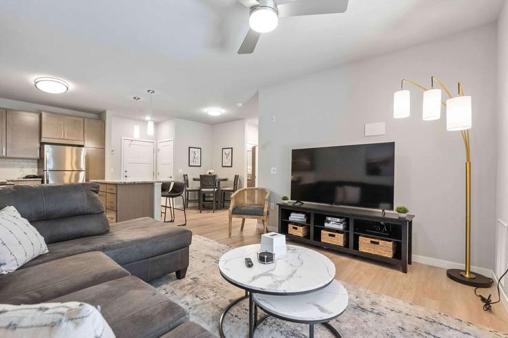 Sala de estar elegantemente projetada com móveis modernos em um apartamento no Building Sand Pearl Lane - remotely - 1377418 em Madison, Madison