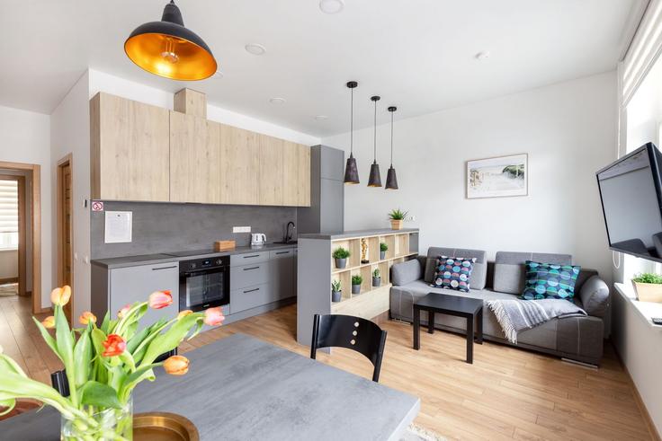 Vilnius VilniusのBuilding Kruopų gatvė - reside-baltic - 1329272のアパートメントにある、モダンな家具を備えたエレガントなデザインのリビングルーム Vilnius VilniusのBuilding Kruopų gatvė - reside-baltic - 1329272のアパートメントにある、モダンな家具を備えたエレガントなデザインのリビングルーム