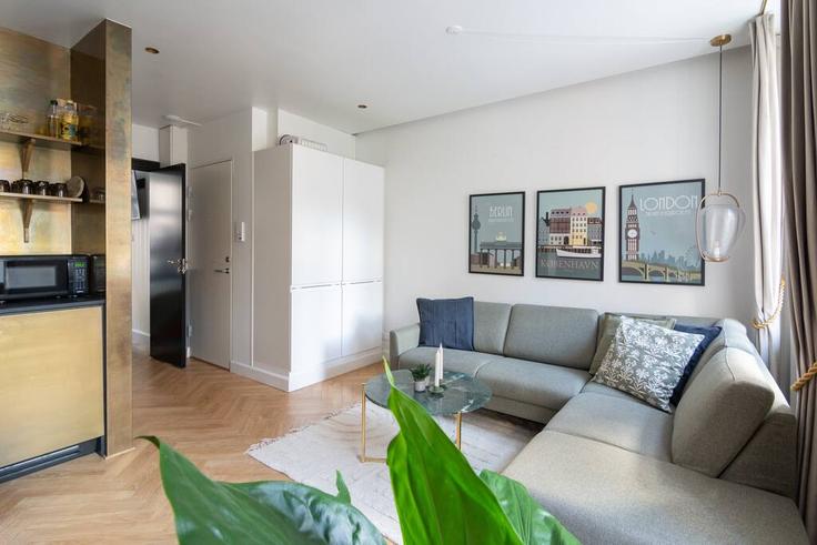 Elegante sala de estar con mobiliario moderno en un apartamento en Building Værnedamsvej - sdk-estates - 1309939 - DNK en Copenhagen, Copenhagen Elegante sala de estar con mobiliario moderno en un apartamento en Building Værnedamsvej - sdk-estates - 1309939 - DNK en Copenhagen, Copenhagen