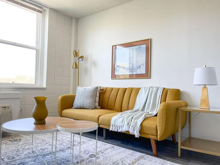 Cincinnati CincinnatiのBuilding Burnet Avenue - sleepover-inc - 1534915のアパートメントにある、モダンな家具を備えたエレガントなデザインのリビングルーム Cincinnati CincinnatiのBuilding Burnet Avenue - sleepover-inc - 1534915のアパートメントにある、モダンな家具を備えたエレガントなデザインのリビングルーム