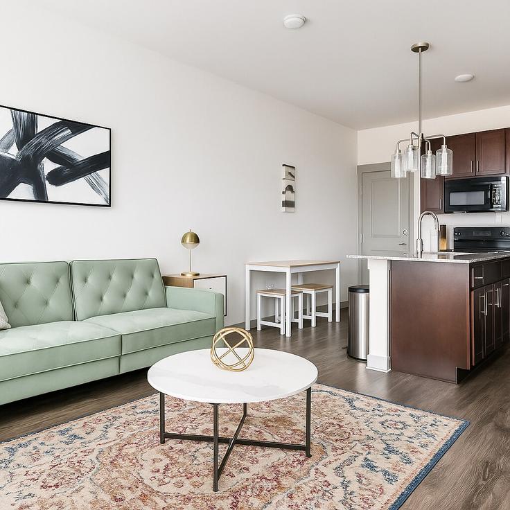 North Little Rock, North Little Rock 소재 Building East 4th Street - sleepover - 1298592 - USA 유닛에 마련된, 현대적인 가구로 꾸며진 우아한 디자인의 거실