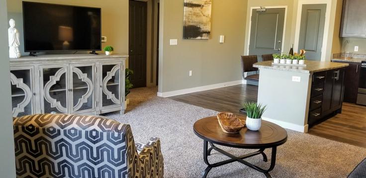 Elegant gestaltetes Wohnzimmer mit moderner Einrichtung in einer Wohnung im Building Winona Court - somni-corporate-housing - 1335733 in Sioux City, Sioux City