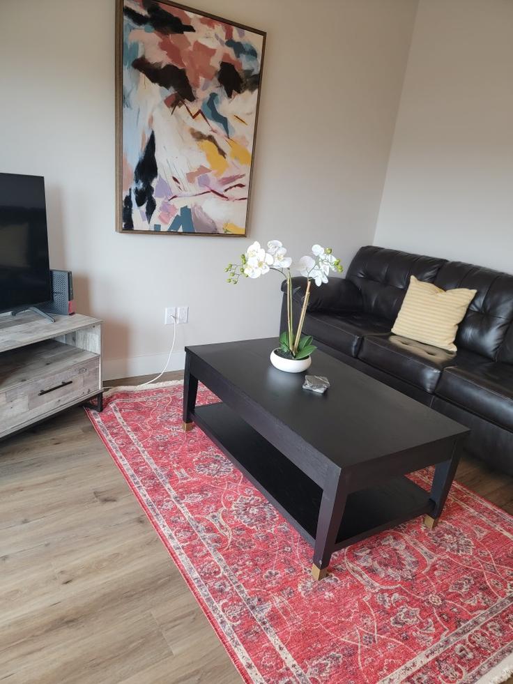 Elegant gestaltetes Wohnzimmer mit moderner Einrichtung in einer Wohnung im Building SOMNI Corporate Housing-501311 . - somni-corporate-housing - 1335736 in Sioux City, Sioux City