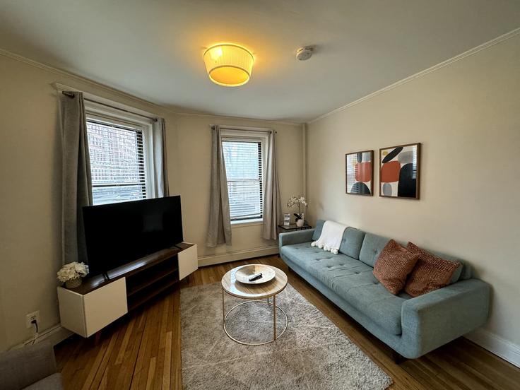 BostonBoston의 East Newton Street(1238075P)에 위치한 1베드룸 풀퍼니시드 아파트 - 사진1