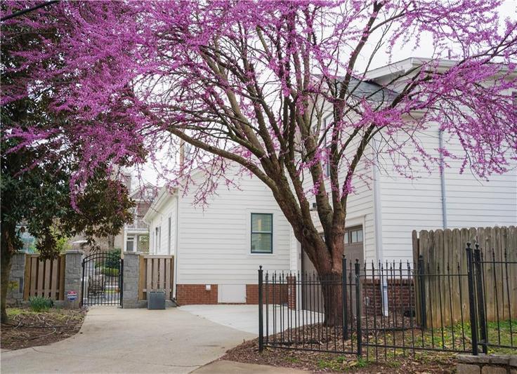 Randolph Street Northeast 1323858P, Atlanta, Atlanta에 위치한 1베드룸 풀퍼니시드 유닛, 사진 1 Randolph Street Northeast 1323858P, Atlanta, Atlanta에 위치한 1베드룸 풀퍼니시드 유닛, 사진 1