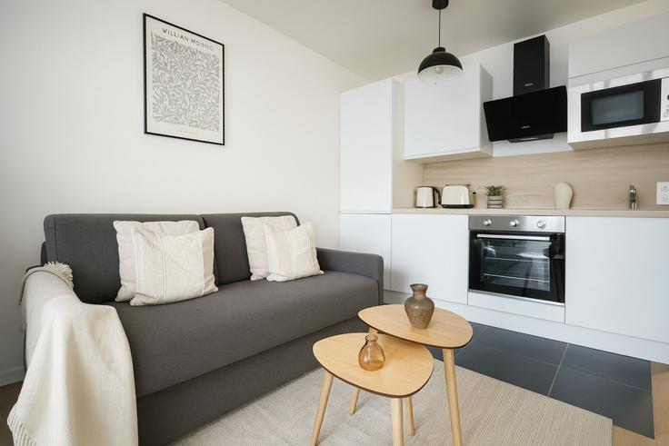 Sala de estar elegantemente projetada com móveis modernos em um apartamento no Building Allée Paris-Ivry - the-flex-paris - 1388325 em 13th arrondissement, Paris