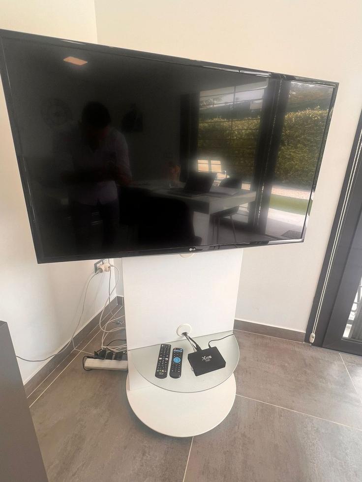 Elegant gestaltetes Wohnzimmer mit moderner Einrichtung in einer Wohnung im Building Paseo Soria - united-renters - 1346656 in Arenals del Sol, Arenals del Sol