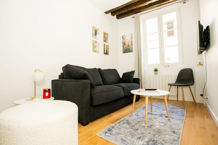 Paris 4th arrondissementのBuilding Rue Budé - vacation-rentals - 1532721のアパートメントにある、モダンな家具を備えたエレガントなデザインのリビングルーム