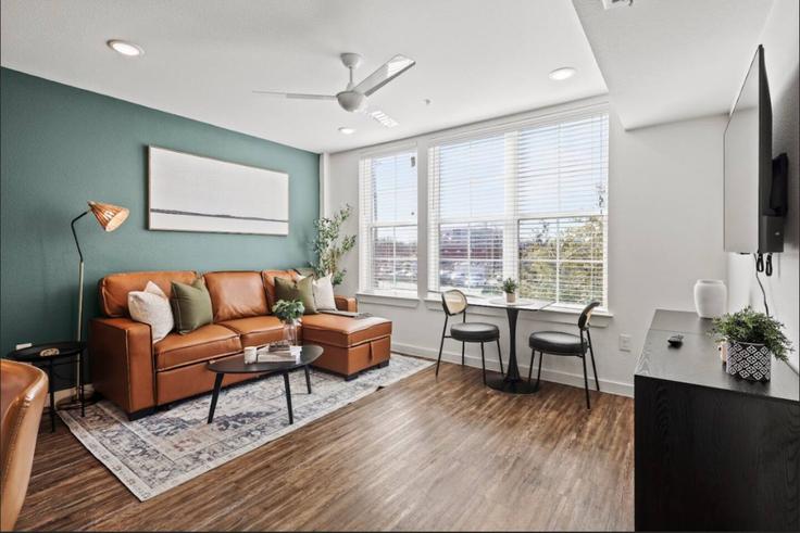Salle de séjour élégante avec mobilier moderne dans un appartement à Building North Madison Avenue - valhalla-suites - 1335757 à Dallas, Dallas