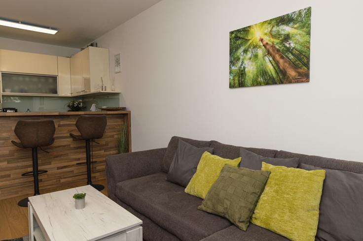 Elegantly designed living room with modern furnishings in an apartment at Building Erzherzog-Karl-Straße - viennainvites - 1507260 in Vienna, Vienna Elegantly designed living room with modern furnishings in an apartment at Building Erzherzog-Karl-Straße - viennainvites - 1507260 in Vienna, Vienna