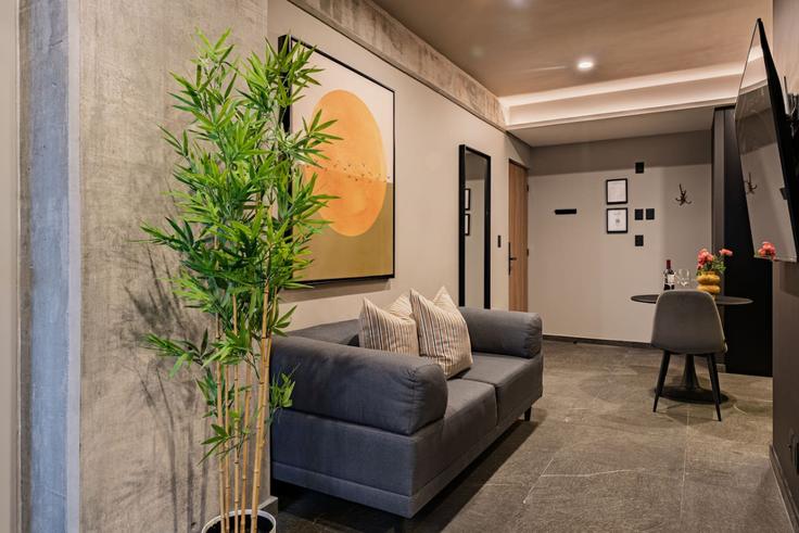 Elegant gestaltetes Wohnzimmer mit moderner Einrichtung in einer Wohnung im Building José María Iglesias - viva-houses-beyond-corp - 1512978 in Mexico City, Mexico City