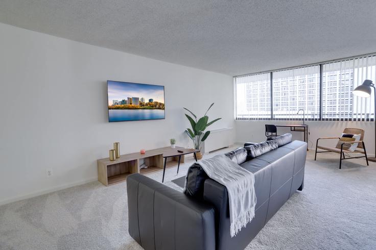 Building Richmond Highway - whost - 1022506 - WDC adresindeki bir dairede modern mobilyalarla zarif bir şekilde tasarlanmış oturma odası Arlington, Arlington