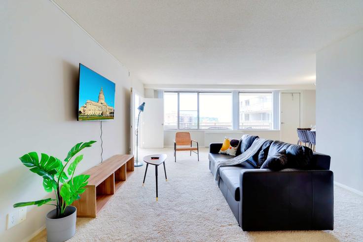 Building Richmond Highway - whost - 1022382 - WDC adresindeki bir dairede modern mobilyalarla zarif bir şekilde tasarlanmış oturma odası Arlington, Arlington