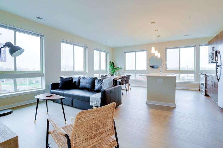 Elegante sala de estar con mobiliario moderno en un apartamento en Building Poag Street - whost - 1022591 en Rose Hill, Rose Hill Elegante sala de estar con mobiliario moderno en un apartamento en Building Poag Street - whost - 1022591 en Rose Hill, Rose Hill