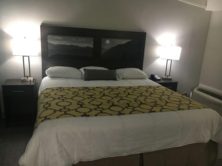 1 chambre appartement meublé à East Spring Street 1649457P , Cookeville, Cookeville, photo 1 1 chambre appartement meublé à East Spring Street 1649457P , Cookeville, Cookeville, photo 1