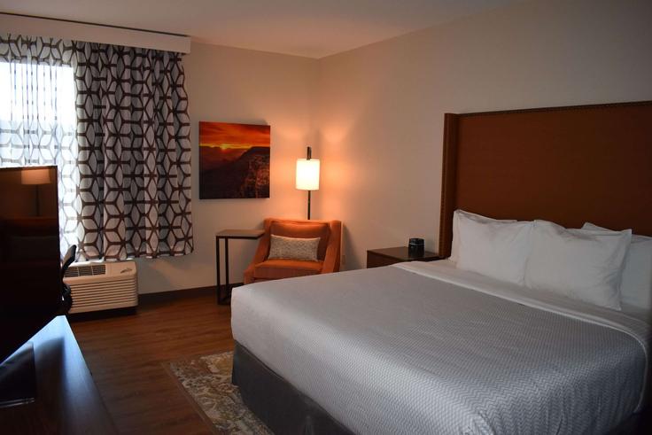 1 chambre appartement meublé à East Lucky Lane 1686711P , Flagstaff, Flagstaff, photo 1