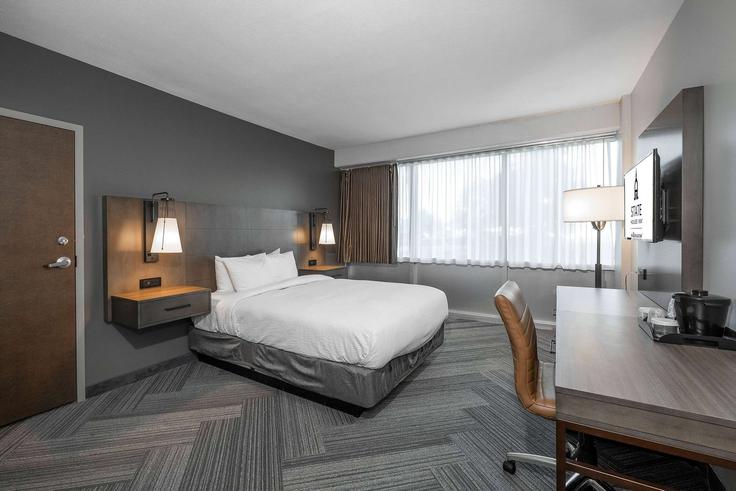 1 apartamento de un dormitorio amueblado en East Adams Street 1666672P , Springfield, Springfield, foto 1
