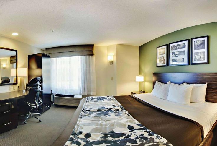 1 chambre appartement meublé à Edgewood Road 1687164P , Edgewood, Edgewood, photo 1