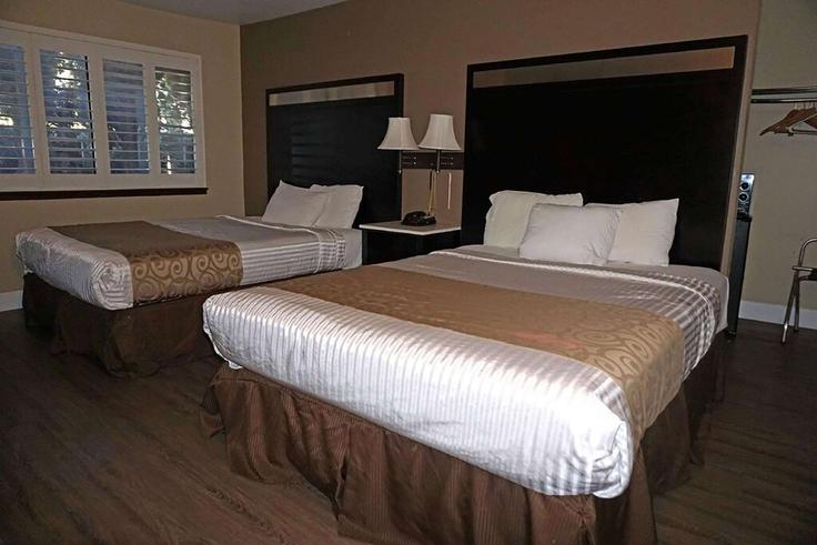 1 yatak odalı mobilyalı daire Clayton Road 1675471P , Concord, Concord, fotoğraf 1 1 yatak odalı mobilyalı daire Clayton Road 1675471P , Concord, Concord, fotoğraf 1