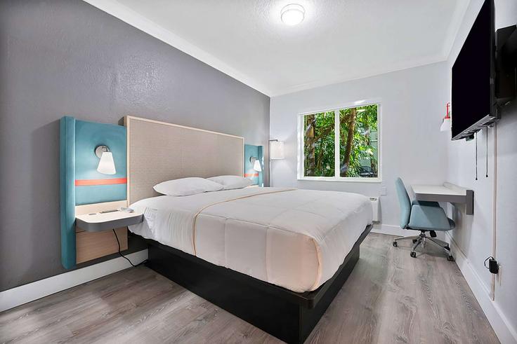 1 apartamento de un dormitorio amueblado en East Drive 1646800P , Miami Springs, Miami Springs, foto 1 1 apartamento de un dormitorio amueblado en East Drive 1646800P , Miami Springs, Miami Springs, foto 1
