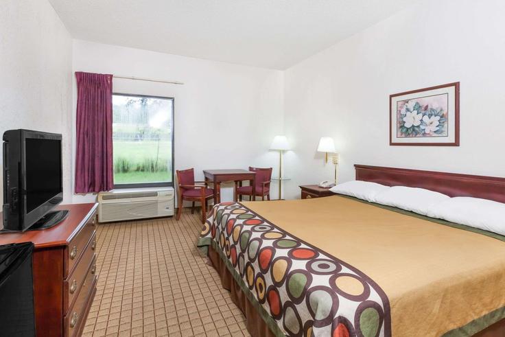 1 chambre appartement meublé à Sanders Street 1685171P , Conway, Conway, photo 1 1 chambre appartement meublé à Sanders Street 1685171P , Conway, Conway, photo 1