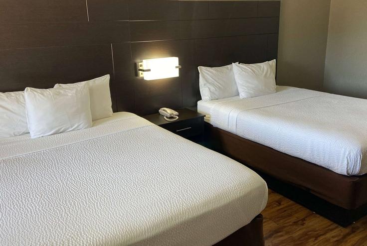 1 yatak odalı mobilyalı daire North Gloster Street 1661861P , Tupelo, Tupelo, fotoğraf 1 1 yatak odalı mobilyalı daire North Gloster Street 1661861P , Tupelo, Tupelo, fotoğraf 1