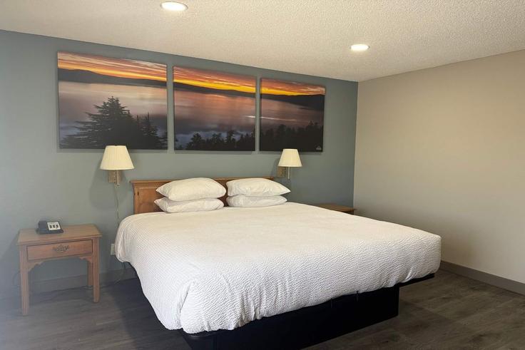 1 yatak odalı mobilyalı daire Alba Drive 1664349P , Medford, Medford, fotoğraf 1