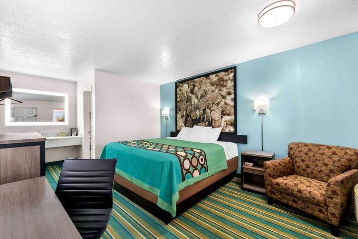 Pleasanton Pleasanton에 위치한 West Oaklawn Road 1666089P의 1침실 가구 완비 유닛, 사진 1