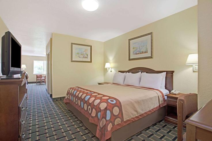 1 apartamento de un dormitorio amueblado en South Ridgewood Avenue 1691105P , Daytona Beach, Daytona Beach, foto 1 1 apartamento de un dormitorio amueblado en South Ridgewood Avenue 1691105P , Daytona Beach, Daytona Beach, foto 1