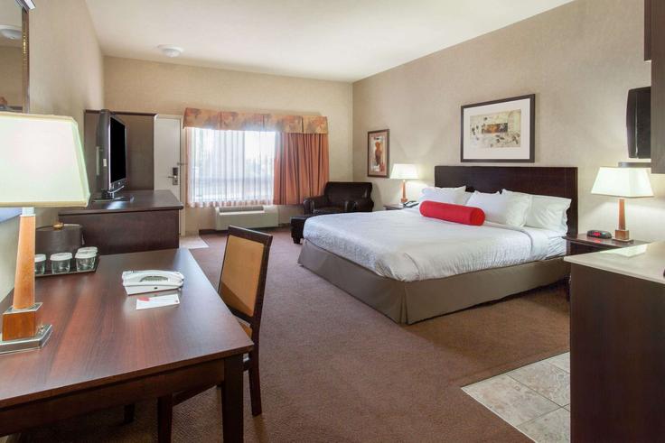 1 quarto mobiliado em apartamentos em 48 Avenue 1657559P, Camrose, Camrose, foto 1