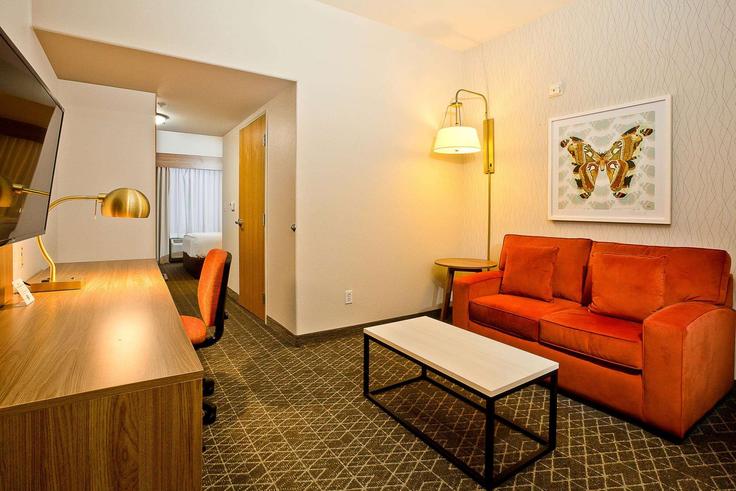 Alameda AlamedaのBuilding Webster Street - wyndham - 1689481のアパートメントにある、モダンな家具を備えたエレガントなデザインのリビングルーム Alameda AlamedaのBuilding Webster Street - wyndham - 1689481のアパートメントにある、モダンな家具を備えたエレガントなデザインのリビングルーム