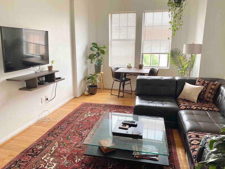 Washington, Washington에 위치한 Building Chapin Street Northwest - zark-properties-llc - 1473103 유닛의 세련된 인테리어가 돋보이는 거실 Washington, Washington에 위치한 Building Chapin Street Northwest - zark-properties-llc - 1473103 유닛의 세련된 인테리어가 돋보이는 거실