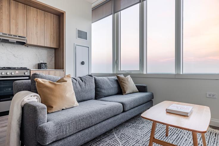 Chicago Chicagoの1000Mのアパートメントにある、モダンな家具を備えたエレガントなデザインのリビングルーム