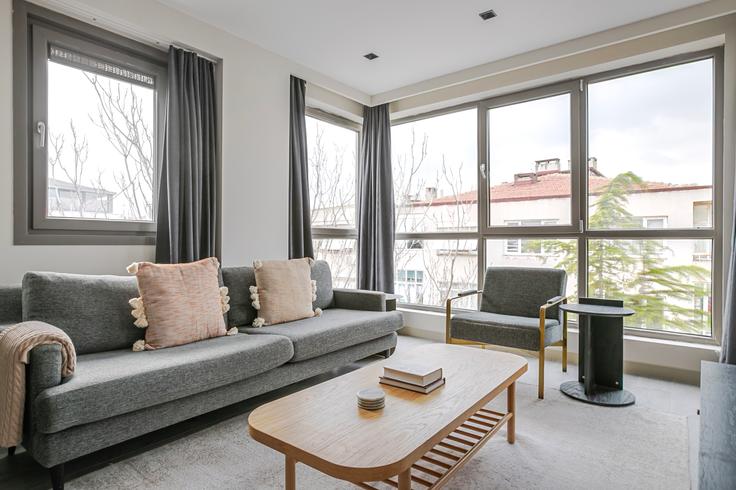 Salle de séjour élégante avec mobilier moderne dans un appartement à Batu Apartmanı à Kadıköy, İstanbul