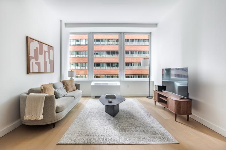 Elegante sala de estar con mobiliario moderno en un apartamento en 180 Water Street en Manhattan, New York Elegante sala de estar con mobiliario moderno en un apartamento en 180 Water Street en Manhattan, New York