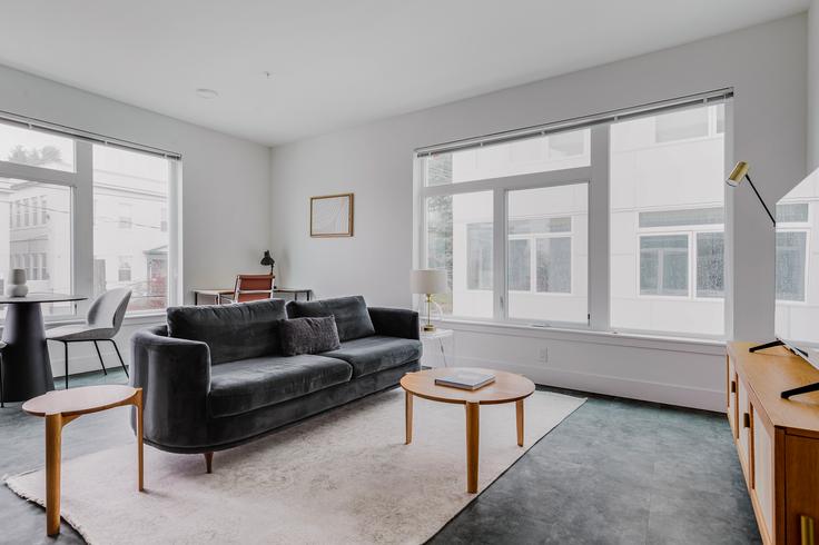 Elegantly designed living room with modern furnishings in an apartment at HiLite Apartments in First Hill, Seattle