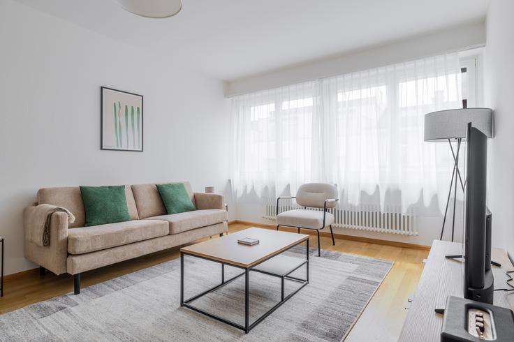 Basel, Basel에 위치한 Austrasse 120, 4051, Basel 아파트의 세련된 인테리어가 돋보이는 거실
